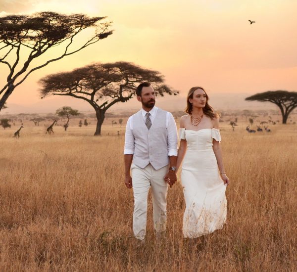 Serengeti Wedding_10